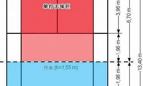 羽毛球单打界限图解大全_羽毛球单打界限图解大全视频