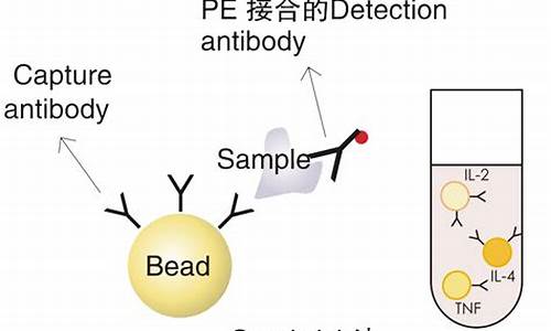 细胞因子测试_cba测细胞因子