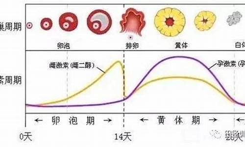 体育考试的时候来月经怎么办_体育考试来月经了怎么办