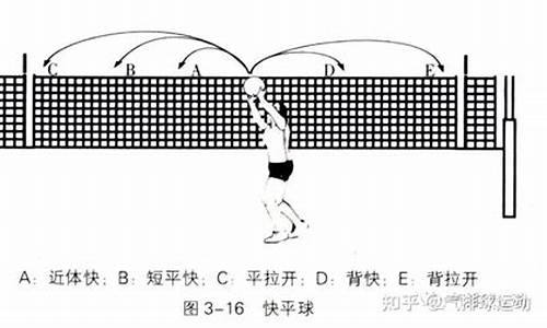 排球一攻站位_什么是排球一点攻战术