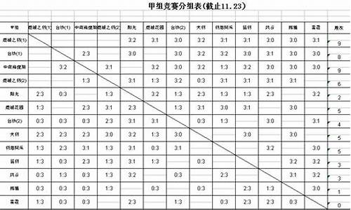 羽毛球赛制表最新_羽毛球赛制表最新图片